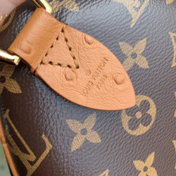 Louis Vuitton Speedy Soft 30 Boho