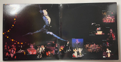 Винтажная виниловая пластинка LP Мюзикл Кошки Andrew Lloyd Webber Cats Complete Original Broadway Cast Recording (USA 1983)
