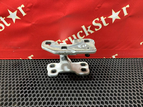 Петля двери правой 2019 год.