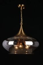 Подвесной светильник Aployt FRANKO APL.601.16.03