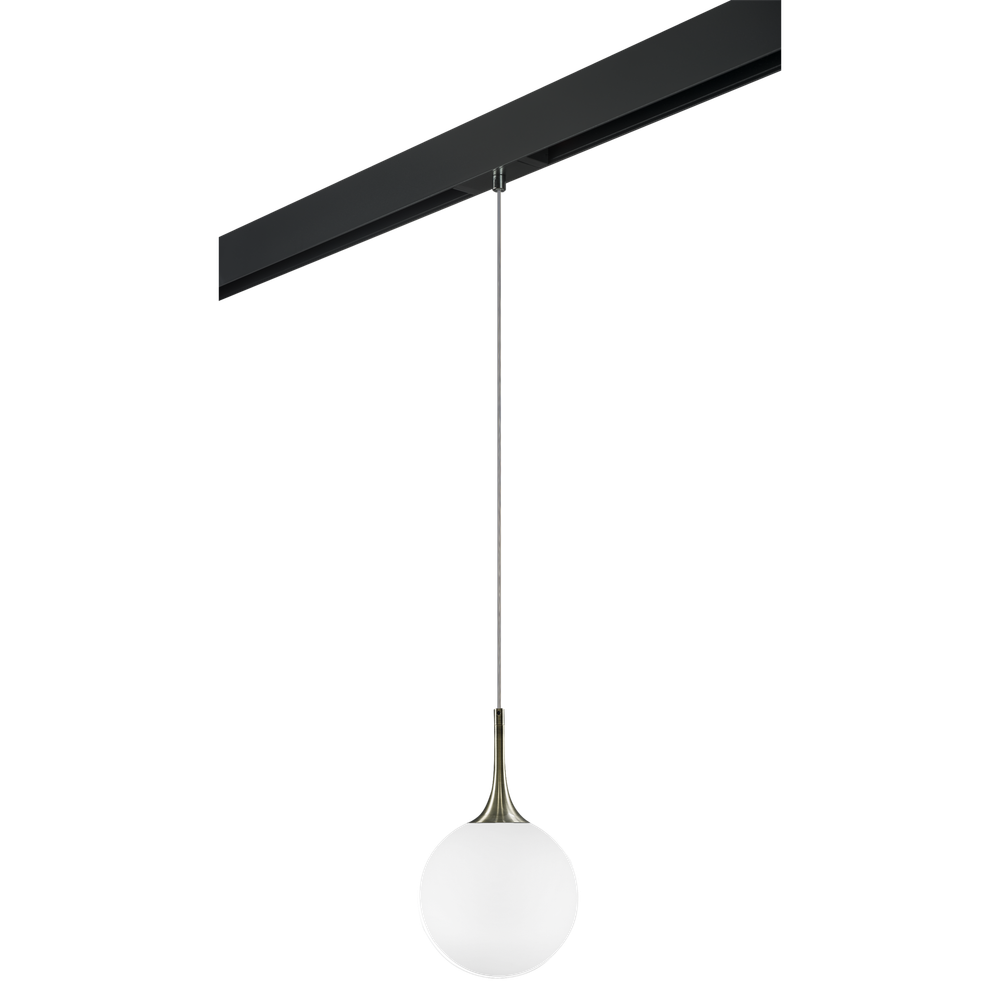 Трековый светильник Lightstar Globo PRO813021