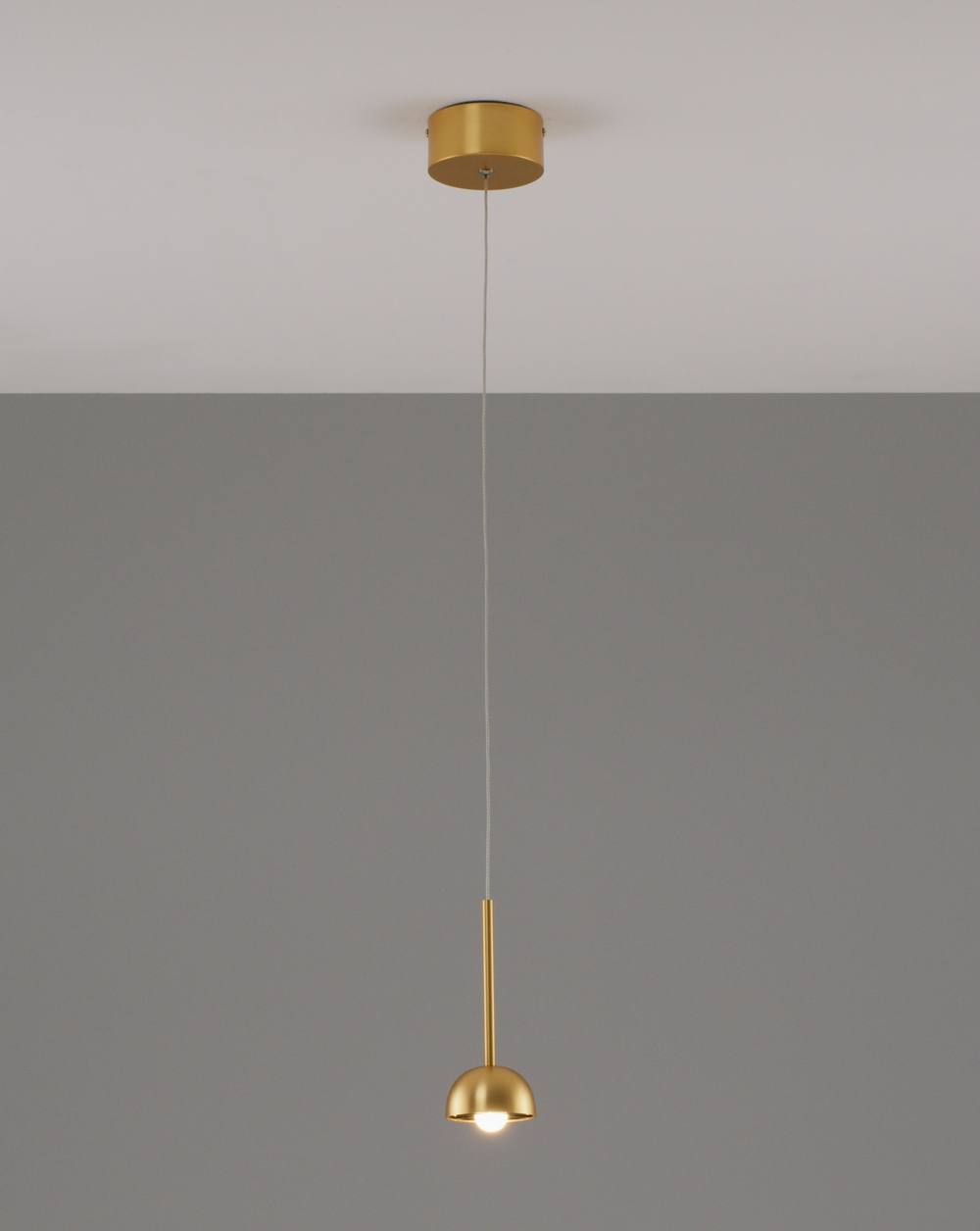 Светильник подвесной светодиодный Moderli V10894-PL Fiona