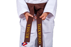 Пояс для тхэквондо ProfSport с вышивкой коричневый