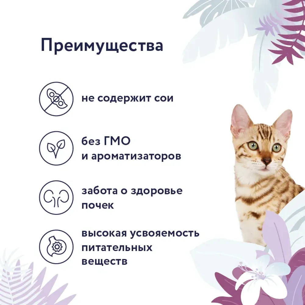 Консервы Florida Preventive Line Renal для кошек при профилактике хронической почечной недостаточности, с ягненком