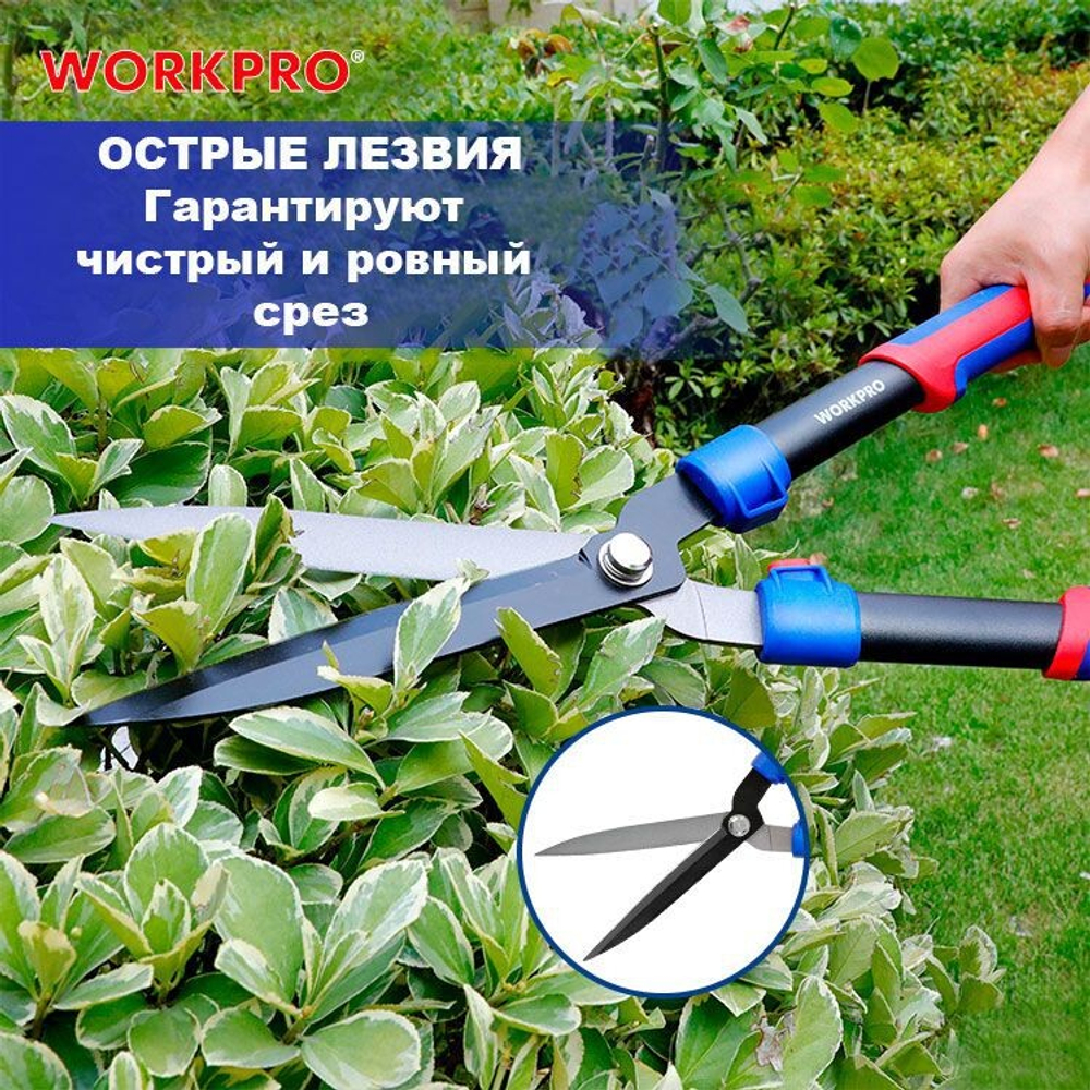 3064-gthumb-gmarkdatalogo1.png-gmarkposdatabottom-right