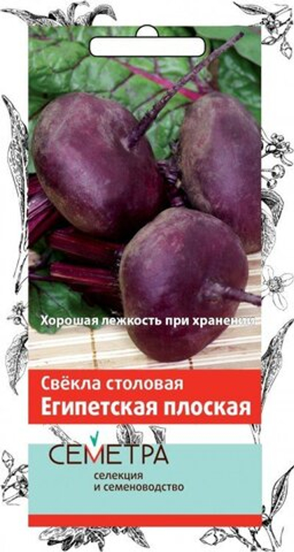 Свёкла Египетская плоская (семена)