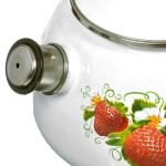 Чайник сталь, эмал, 2 л, свист, руч консоль, Керчь, в асс, 43604-102/6/10