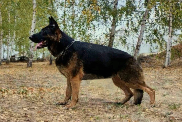 Туада АГАТА