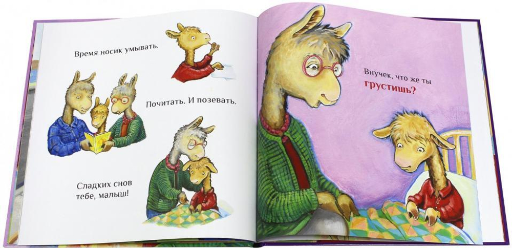 Лама в гостях у бабушки с дедушкой