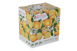 Кружка Лимон в подарочной упаковке Maxwell & Williams