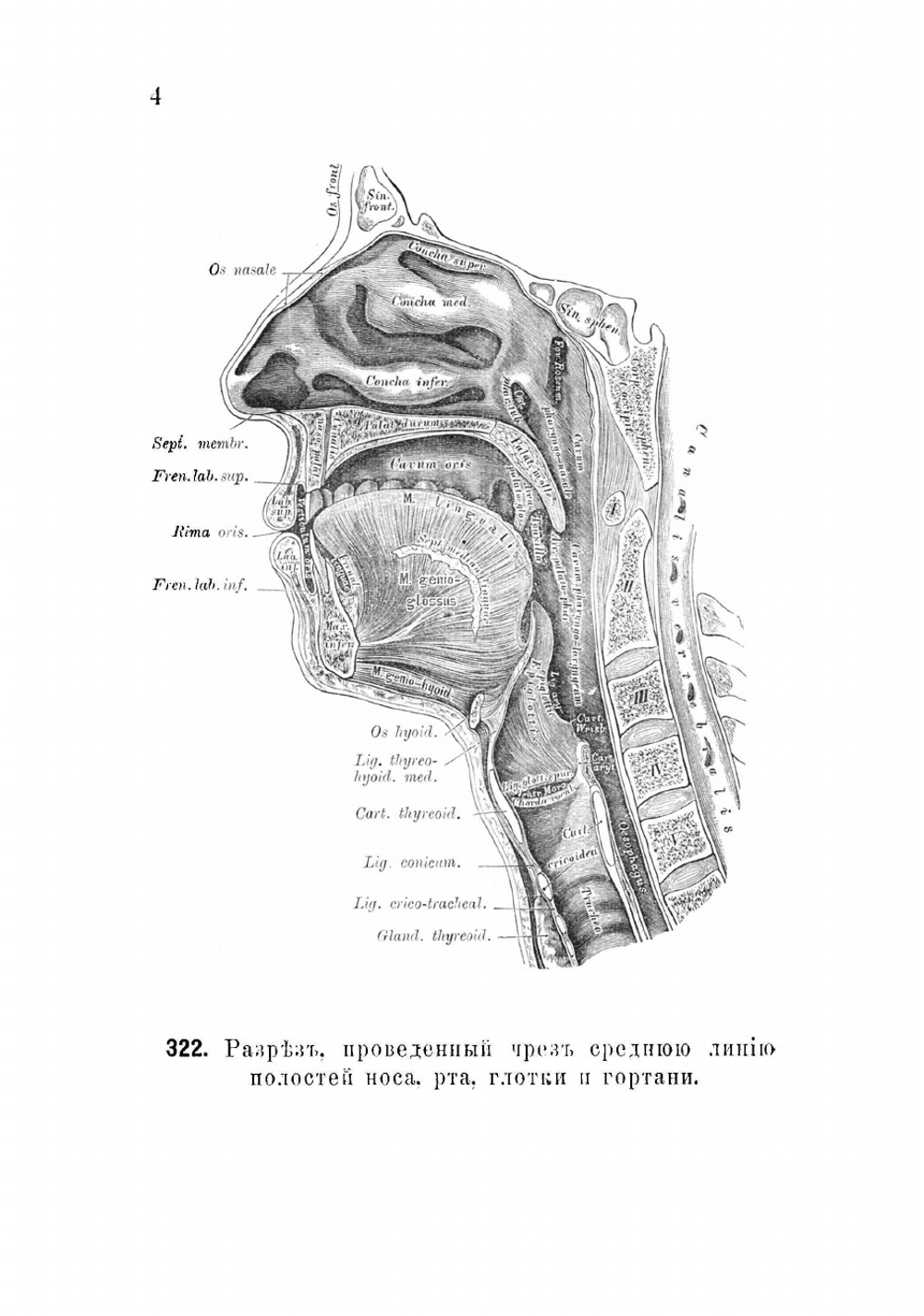 Описательная и топографическая анатомия человека | Хайцман Карл