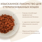 МНЯМС Лакомство "Профилактика МКБ" хрустящие подушечки для стерилизованных кошек с цыпленком и клюквой, 60 г