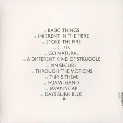 Darkstar – Foam Island LP