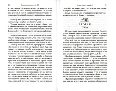 Как узнать волю Божию? Православный комментарий на книгу Притч. Иерей Георгий Максимов
