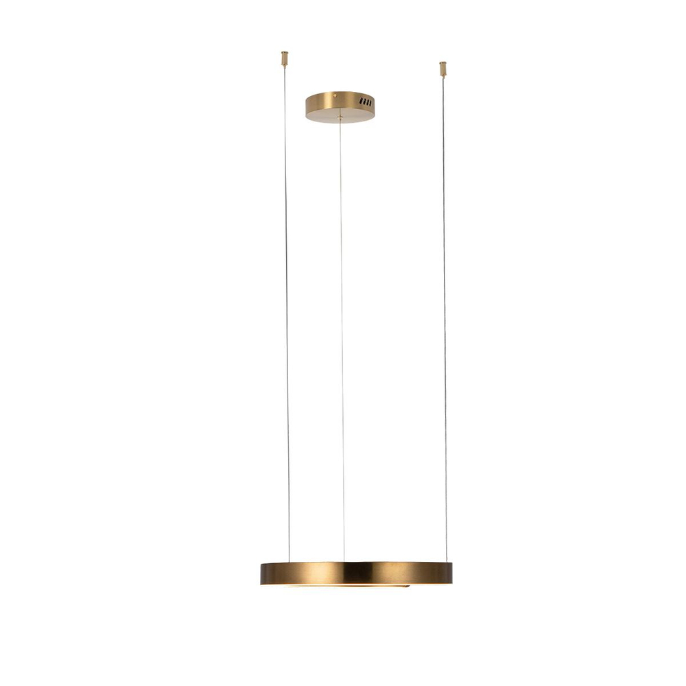 10013S Подвесной светильник LOFT IT Ring