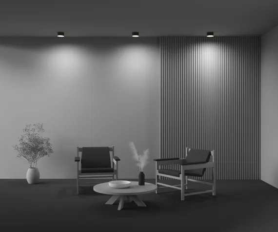 Потолочный светильник Зон / Zon 12 Вт 4000 К 120° Technical c032cl-12w4k-rd-b