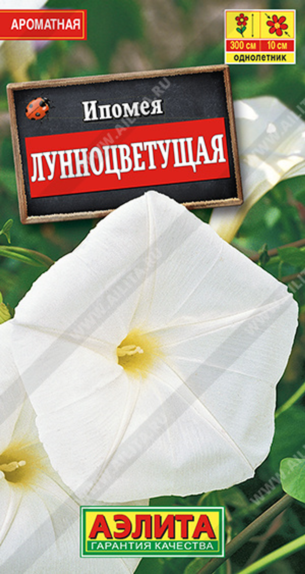 Ипомея Лунноцветущая