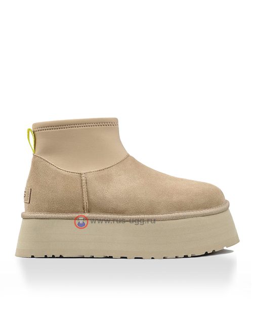 MINI DIPPER Mustars Seed