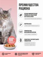 Влажный корм для стерилизованных кошек беззерновой с лососем и овощами в соусе BOWL WOW 0,085 г, 12 упаковок