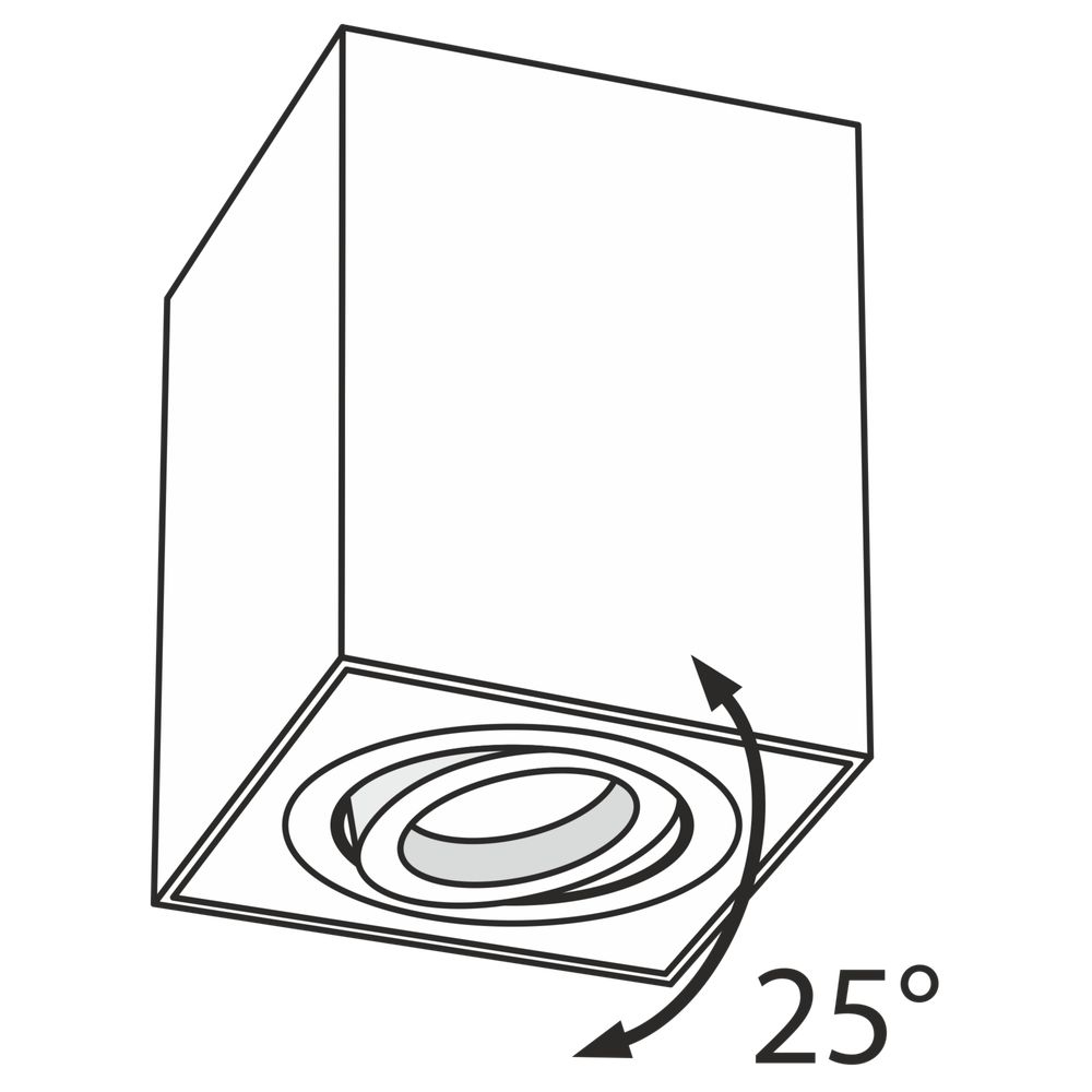 Потолочный светильник Technical C017CL-01S