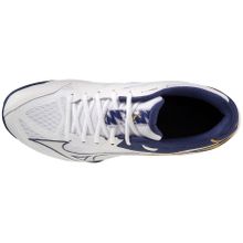 Кроссовки волейбольные мужские MIZUNO Thunder Blade Z V1GA237043, р.UK9.5 (рос.43), белый
