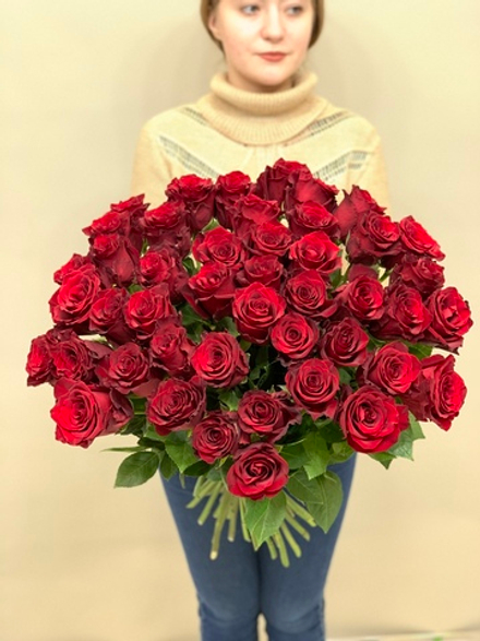Букет 45 красных роз Эквадор 60см в ленте