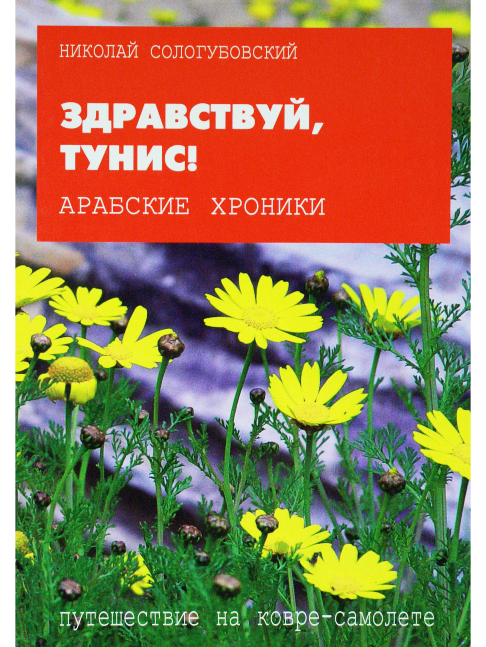 ЗДРАВСТВУЙ, ТУНИС!