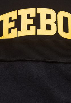 Толстовка мужская REEBOK COTTLE SWEATSHIRT