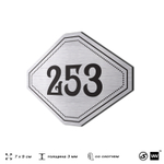 Номерок на дверь квартиры 253, для кабинета, офиса, шильдик 9 х 7 см, серебристый, Айдентика Технолоджи