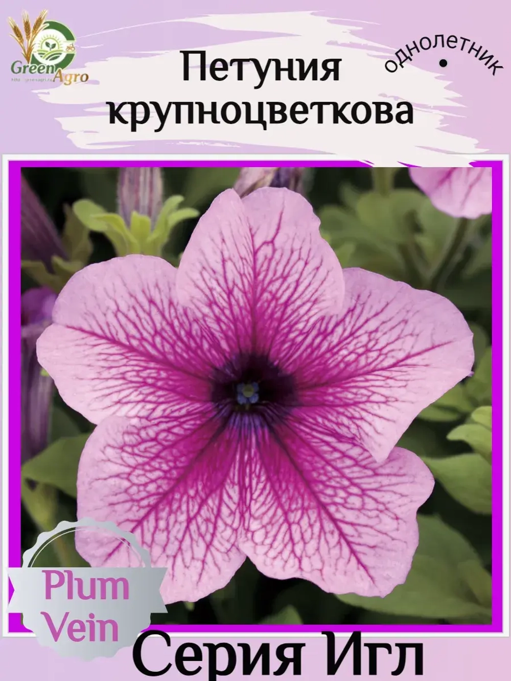 Семена Петуния Крупноцветковая