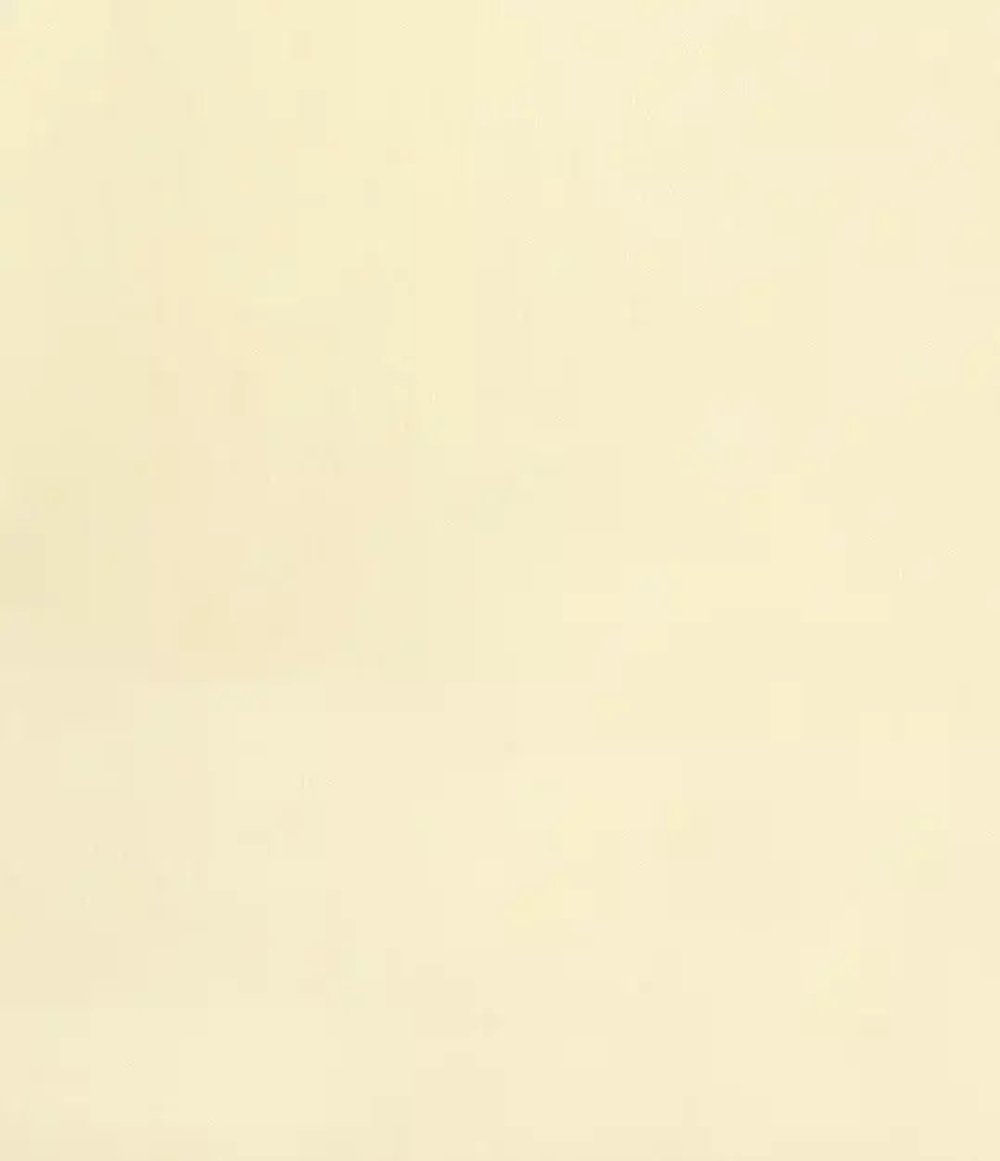 Ткань "Канвас" бежевый