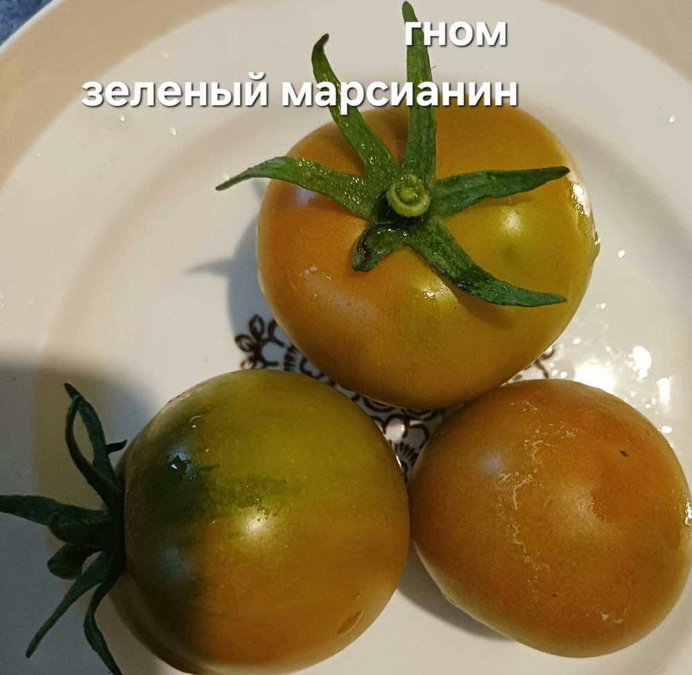 ГНОМ ЗЕЛЕНЫЙ МАРСИАНИН