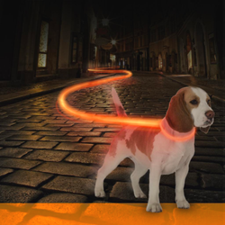 Ошейник для собак светящийся, оранжевый DUVO+