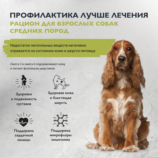 Brit Care Superpremium Dog Adult M Healthy Skin&Shiny Coat с лососем и индейкой для взрослых собак средних пород, Здоровая кожа и шерсть