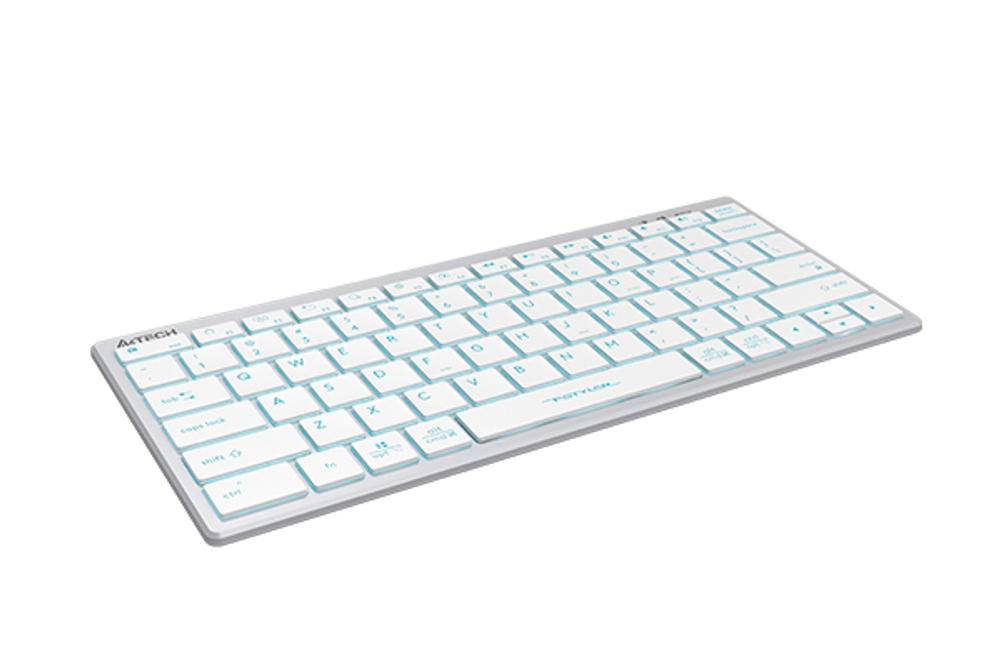 Клавиатура  A4Tech Fstyler FX61