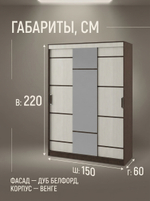 Шкаф-купе Лотос 150х220х60 см с зеркалом стильный вместительный
