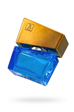 Духи с феромонами HOT Shiatsu «Darkblue», мужские, 15 мл