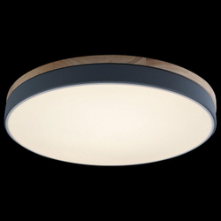Накладной светильник Loft it 10001/36 Grey
