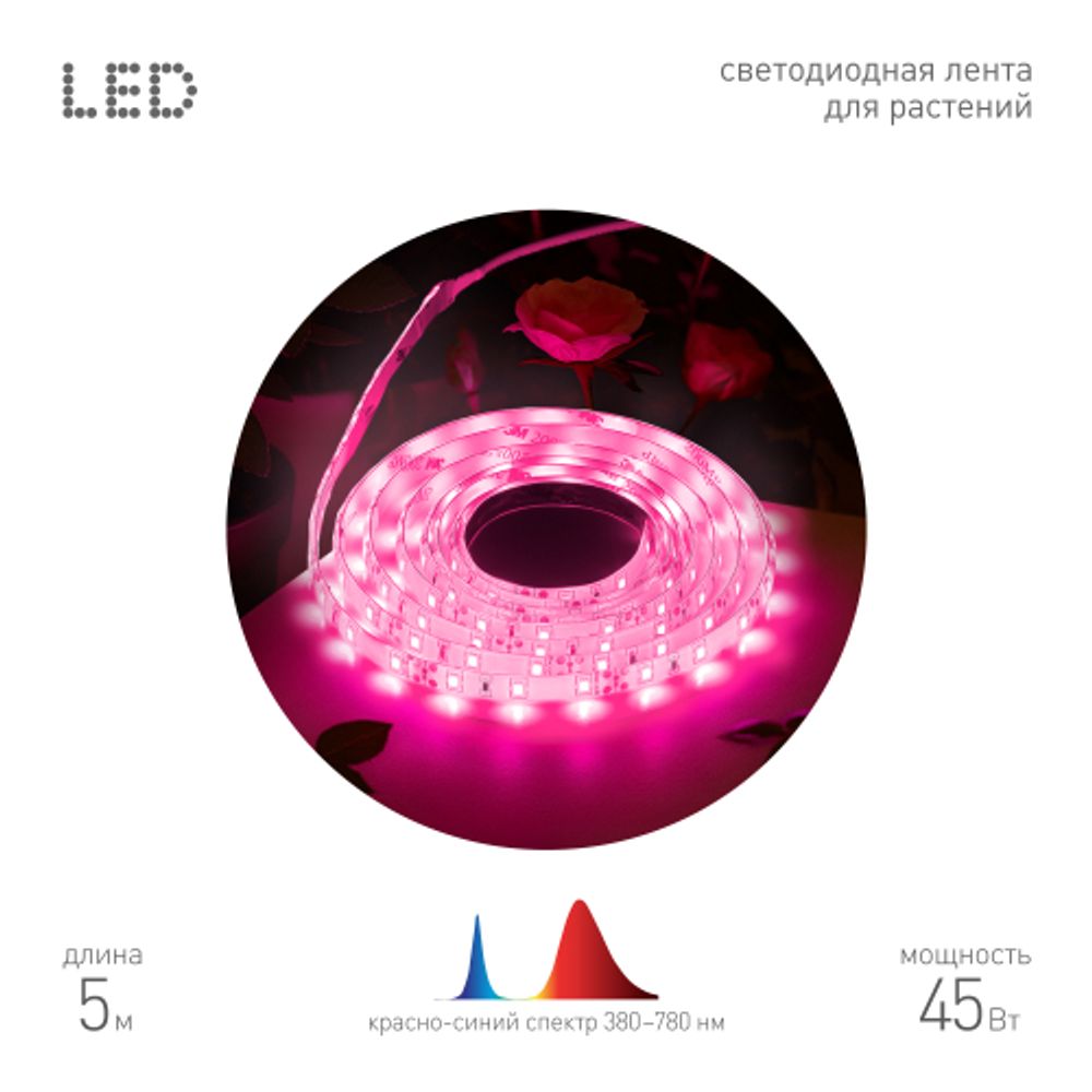Светодиодная лента для растений ЭРА FITO-Strip Light-RB-45W-5m-12V-IP65 красно-синего спектра 5м IP65 с адаптером 12V | Светодиодные ленты для растений
