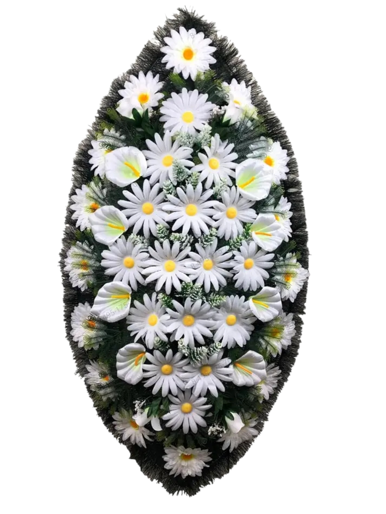 Венок из ромашек