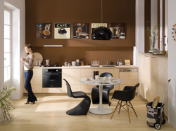 Духовой шкаф Hansa BOES68441