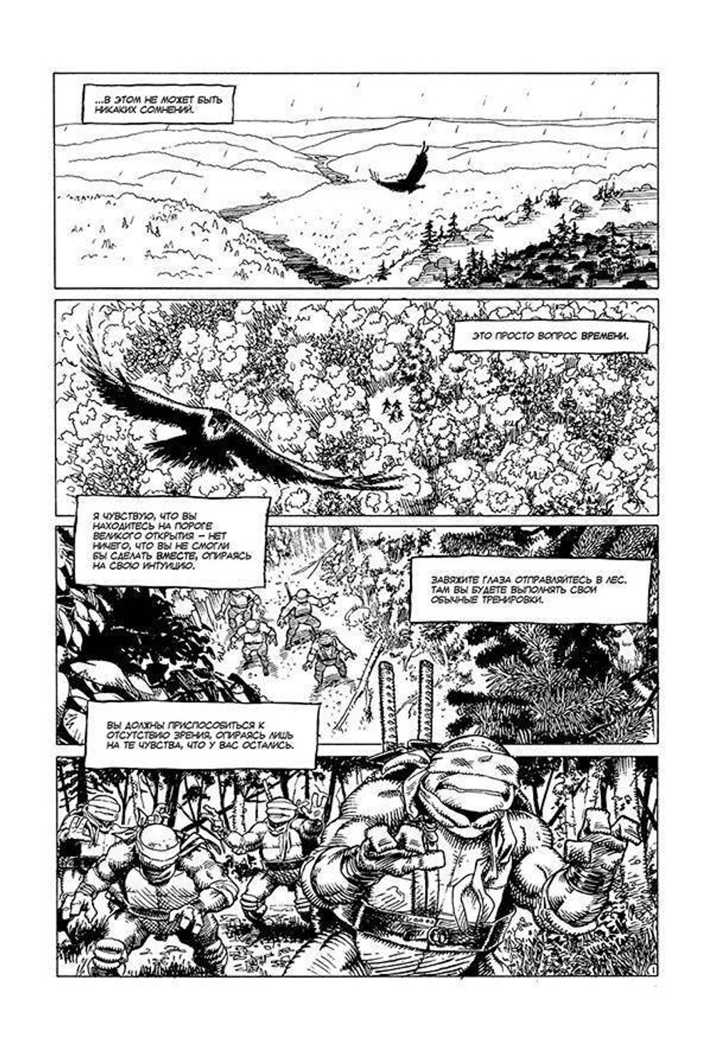 Комикс Классические Черепашки-Ниндзя. Оттенки серого