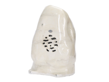 DSPPA DSP-641