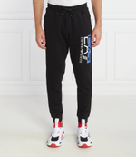 Спортивные штаны EA7 - черный(6RPP51 PJ07Z)