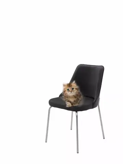 Стул "Флорес" 1 шт. Антивандальная ткань, Серебряные ножки