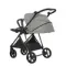 Прогулочная коляска Pituso Carbon Rx Horizon Grey