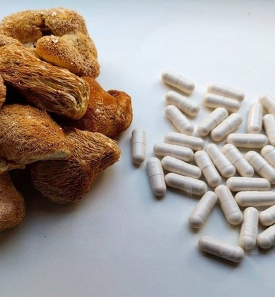 Ежовик гребенчатый в капсулах