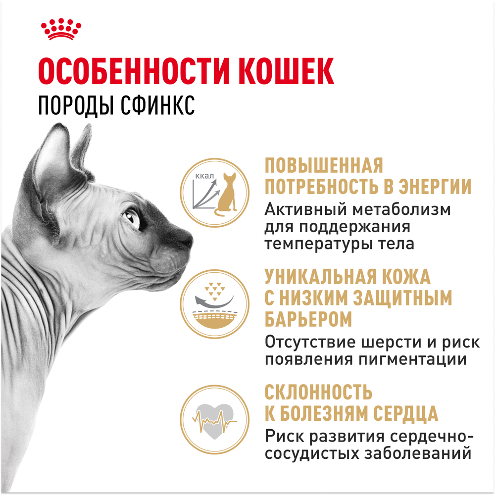 Royal Canin Sphynx Adult Сфинкс Эдалт Корм сухой сбалансированный для взрослых кошек породы Сфинкс от 12 месяцев 10кг