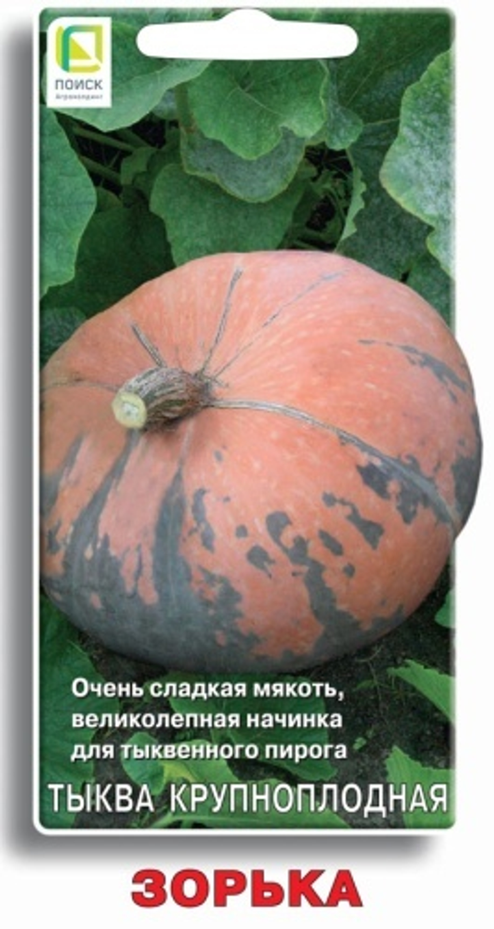 тыква крупноплодная Зорька