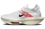 Кроссовки Nike Air Zoom Alphafly Next 2 "Eliud Kipchoge"